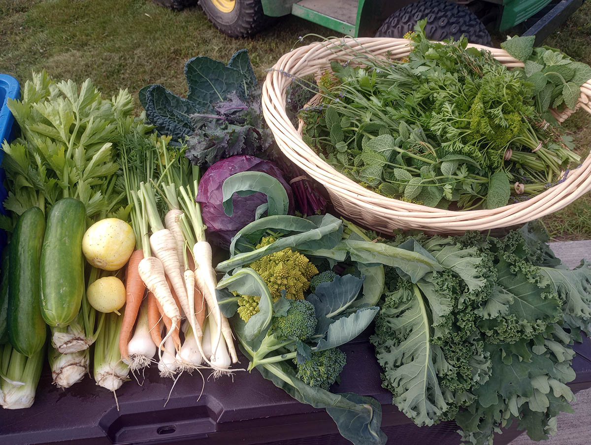 AHC: Fairbanks - The Harvest: Tools, techniques, and tasty veggies!  July 29, 2026
