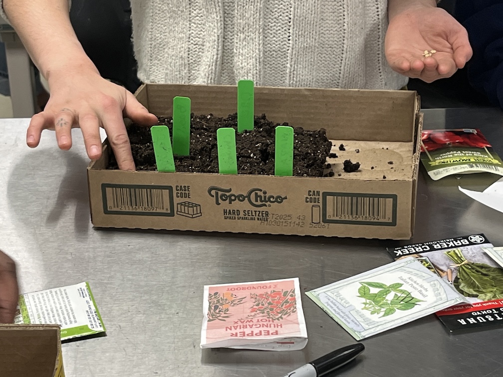 AHC: Fairbanks - April 15, 2026 - Kickstart Your Growing Season - Seed Starting Indoors