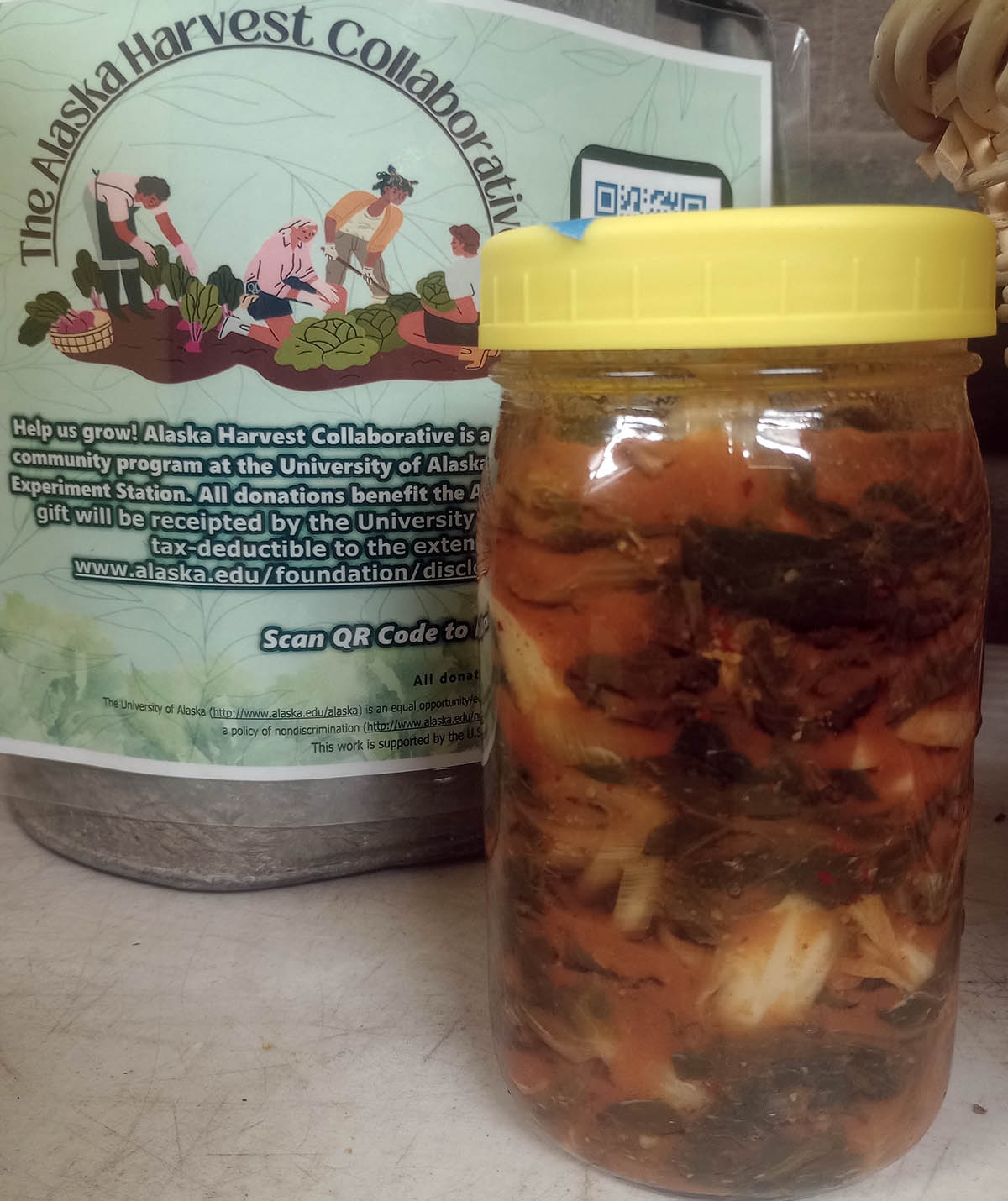 AHC: Fairbanks - Unlock the Ancient Art of Lacto-Fermentation - Aug. 5 2026