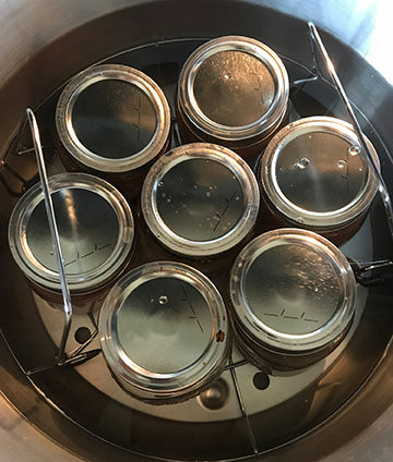 2026 Spring Kitchen Series - March 9 - Water-bath Canning Frozen Berries & Fruit