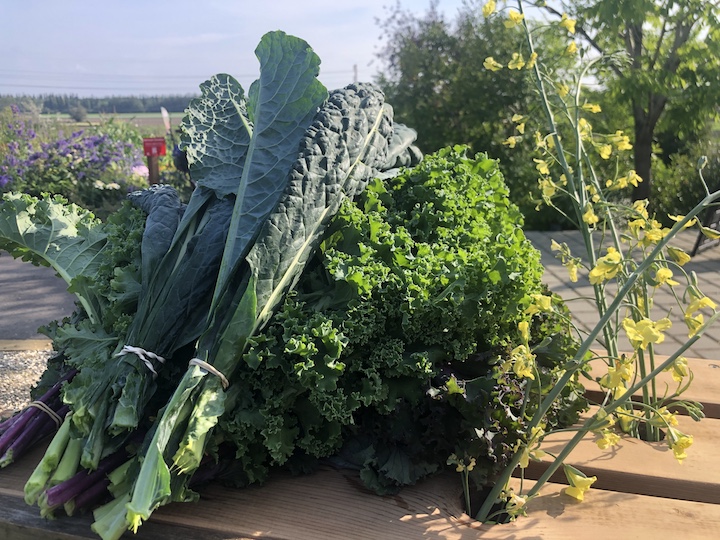 Fairbanks AHC: Unlock the Ancient Art of Lacto-Fermentation, Aug. 27, 2025