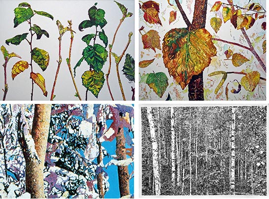 OneTree Alaska - Kesler Woodward greeting card set of 4 