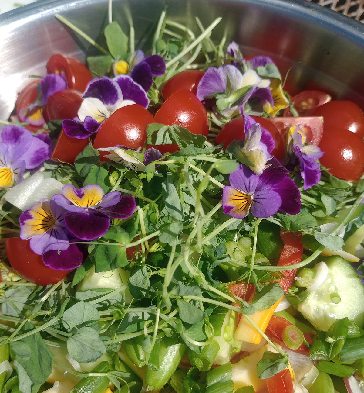 AHC: Fairbanks - Dressed to Impress: The Art of Salad Dressing, July 1, 2026