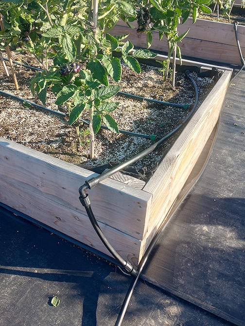 AHC: Hands-on Irrigation Techniques, May 13, 2026