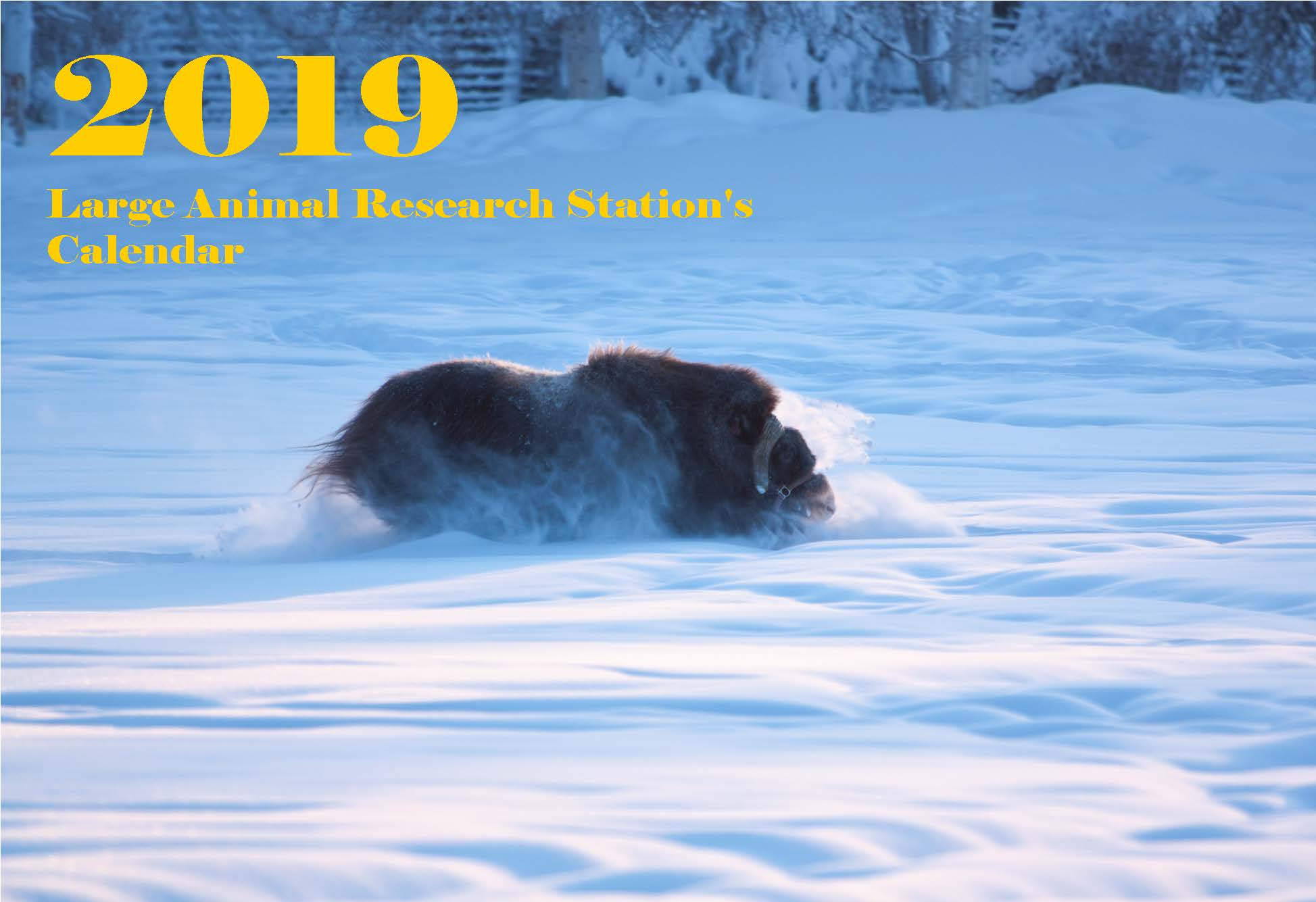 LARS Calendar 2019